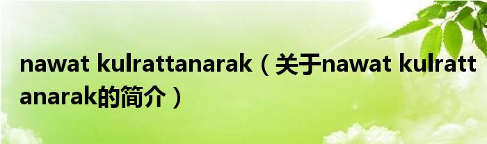 nawat kulrattanarak（关于nawat kulrattanarak的简介）