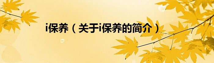 i保养（关于i保养的简介）