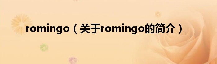 romingo（关于romingo的简介）