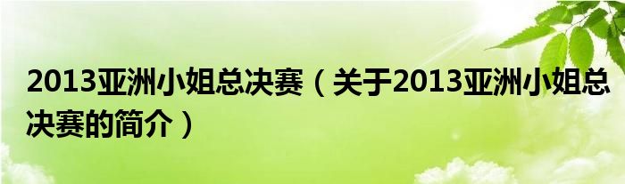 2013亚洲小姐总决赛（关于2013亚洲小姐总决赛的简介）