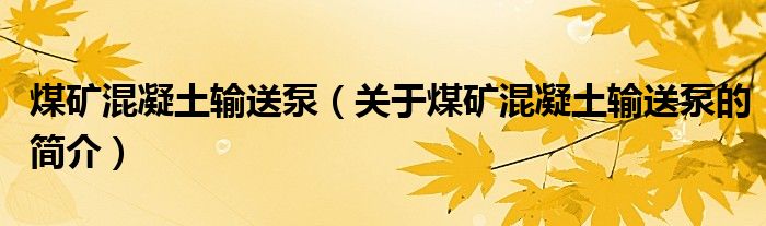 煤矿混凝土输送泵（关于煤矿混凝土输送泵的简介）