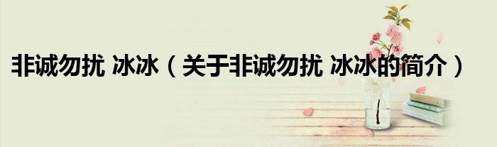 非诚勿扰 冰冰（关于非诚勿扰 冰冰的简介）