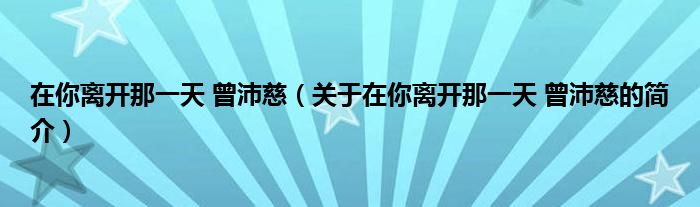 在你离开那一天 曾沛慈（关于在你离开那一天 曾沛慈的简介）