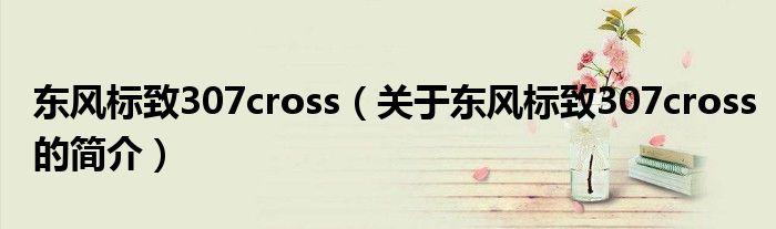 东风标致307cross（关于东风标致307cross的简介）