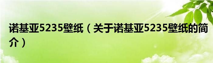 诺基亚5235壁纸（关于诺基亚5235壁纸的简介）