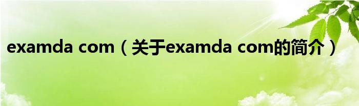examda com（关于examda com的简介）