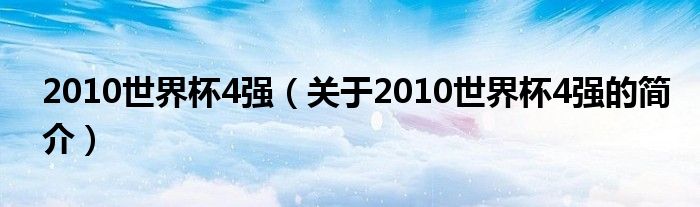 2010世界杯4强（关于2010世界杯4强的简介）