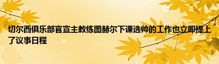 切尔西俱乐部官宣主教练图赫尔下课选帅的工作也立即提上了议事日程