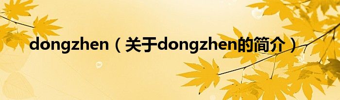 dongzhen（关于dongzhen的简介）