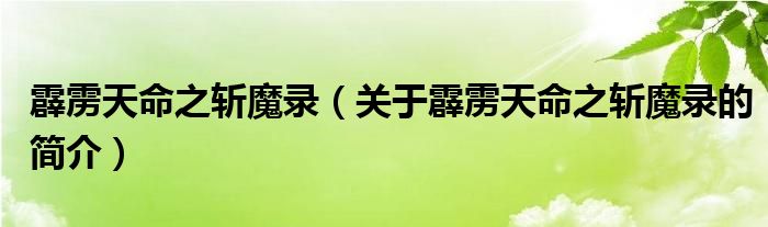 霹雳天命之斩魔录（关于霹雳天命之斩魔录的简介）