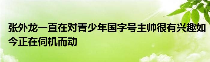 张外龙一直在对青少年国字号主帅很有兴趣如今正在伺机而动