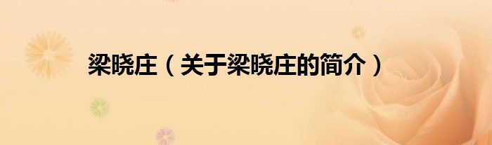 梁晓庄（关于梁晓庄的简介）