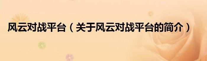 风云对战平台（关于风云对战平台的简介）