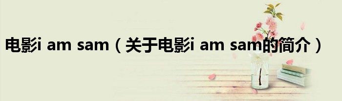 电影i am sam（关于电影i am sam的简介）