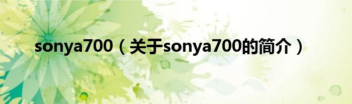 sonya700（关于sonya700的简介）