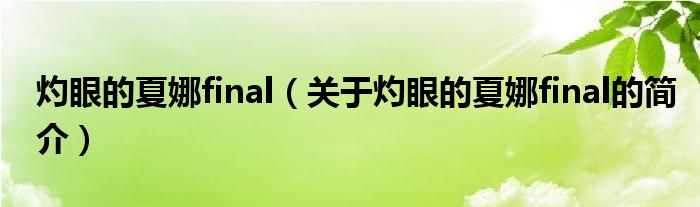 灼眼的夏娜final（关于灼眼的夏娜final的简介）