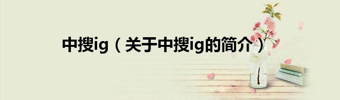 中搜ig（关于中搜ig的简介）