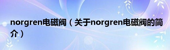 norgren电磁阀（关于norgren电磁阀的简介）
