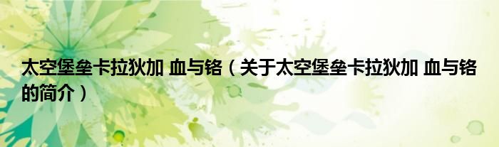 太空堡垒卡拉狄加 血与铬（关于太空堡垒卡拉狄加 血与铬的简介）