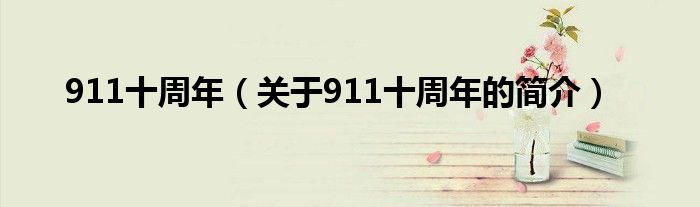 911十周年（关于911十周年的简介）