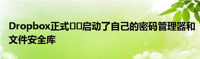 Dropbox正式​​启动了自己的密码管理器和文件安全库