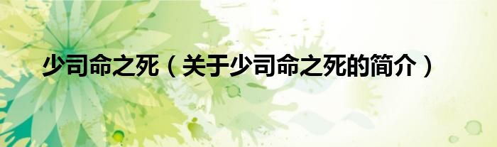 少司命之死（关于少司命之死的简介）