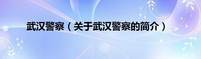 武汉警察（关于武汉警察的简介）