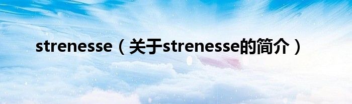 strenesse（关于strenesse的简介）