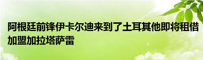 阿根廷前锋伊卡尔迪来到了土耳其他即将租借加盟加拉塔萨雷