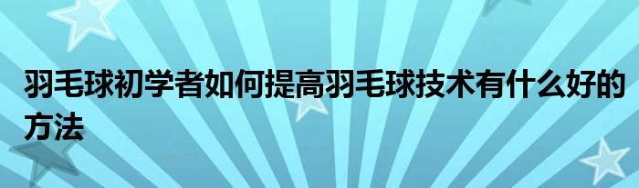 羽毛球初学者如何提高羽毛球技术有什么好的方法