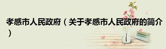 孝感市人民政府（关于孝感市人民政府的简介）
