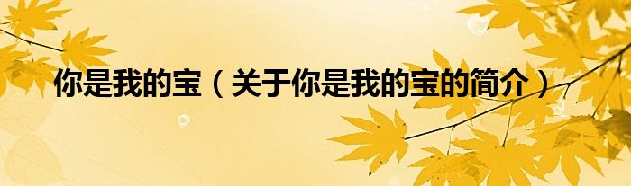 你是我的宝（关于你是我的宝的简介）