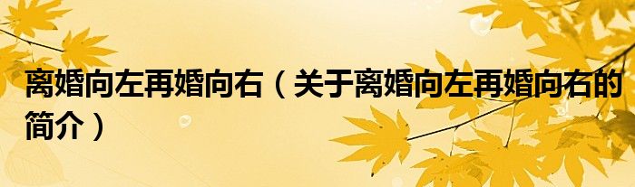 离婚向左再婚向右（关于离婚向左再婚向右的简介）