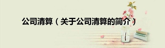 公司清算（关于公司清算的简介）