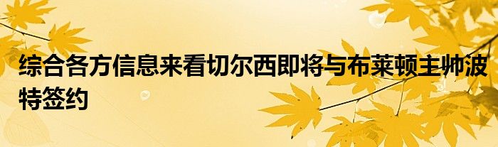 综合各方信息来看切尔西即将与布莱顿主帅波特签约