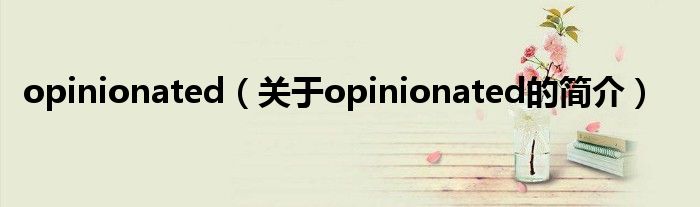 opinionated（关于opinionated的简介）