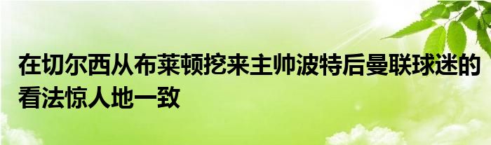 在切尔西从布莱顿挖来主帅波特后曼联球迷的看法惊人地一致