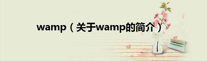 wamp（关于wamp的简介）