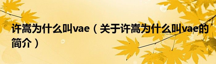 许嵩为什么叫vae（关于许嵩为什么叫vae的简介）