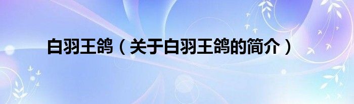 白羽王鸽（关于白羽王鸽的简介）