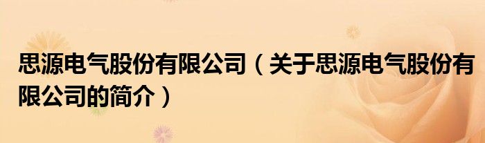 思源电气股份有限公司（关于思源电气股份有限公司的简介）