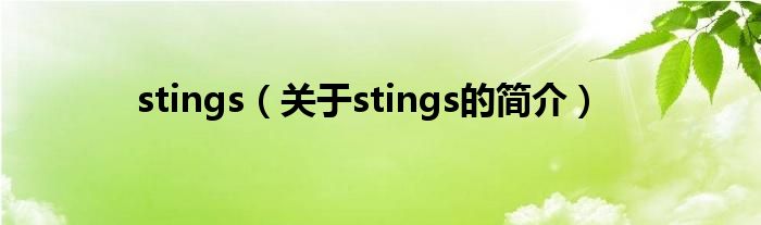 stings（关于stings的简介）
