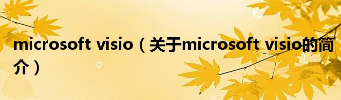 microsoft visio（关于microsoft visio的简介）