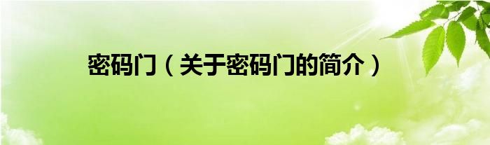密码门（关于密码门的简介）