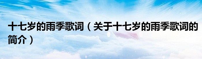 十七岁的雨季歌词（关于十七岁的雨季歌词的简介）