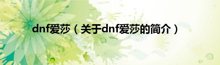 dnf爱莎（关于dnf爱莎的简介）