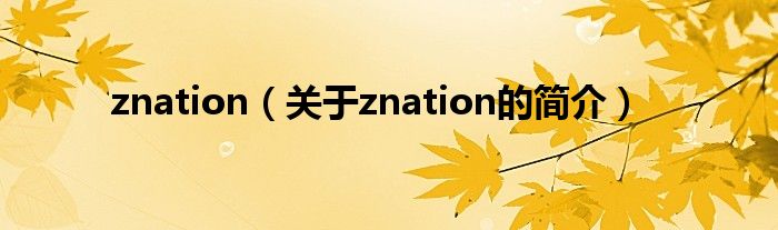 znation（关于znation的简介）