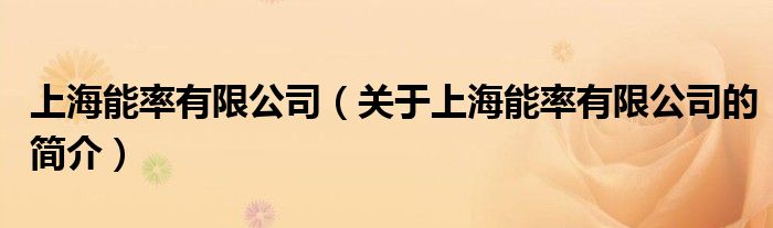上海能率有限公司（关于上海能率有限公司的简介）