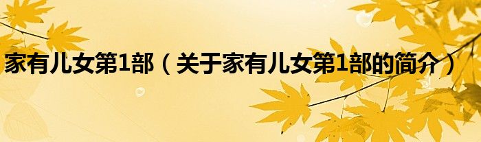 家有儿女第1部（关于家有儿女第1部的简介）