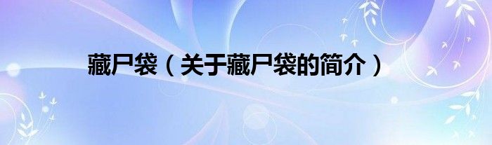藏尸袋（关于藏尸袋的简介）